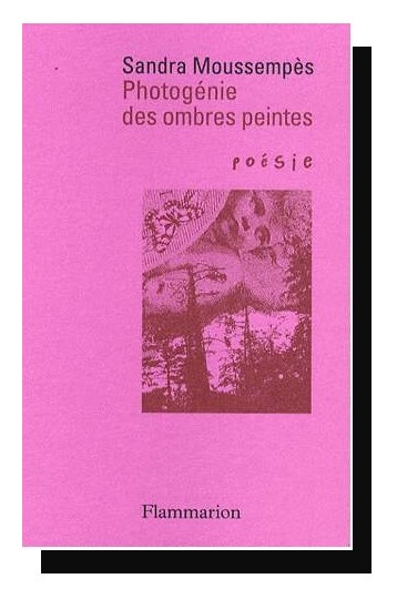 PHOTOGENIE DES OMBRES PEINTES S MOUSSEMPES