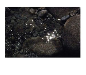 LE SOUFFLE DES MONDES II