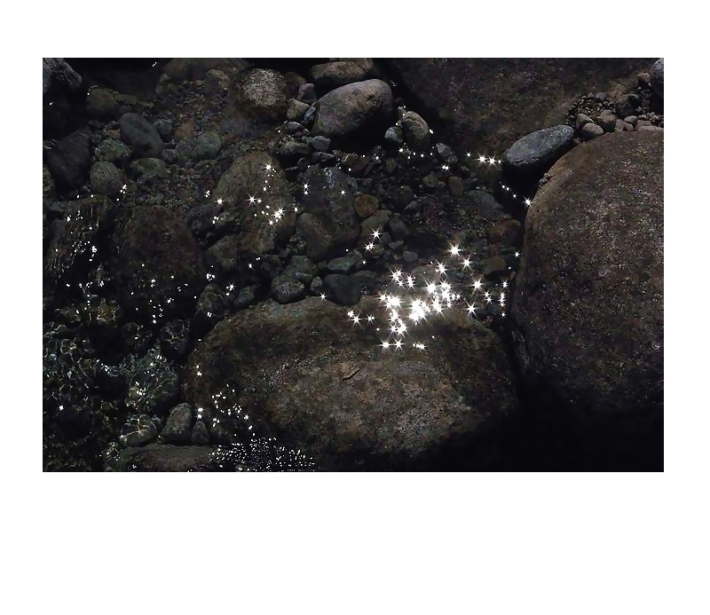 LE SOUFFLE DES MONDES II