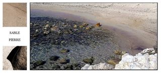 La poussière de nos sandales (nous le savons) vient des étoiles Sable