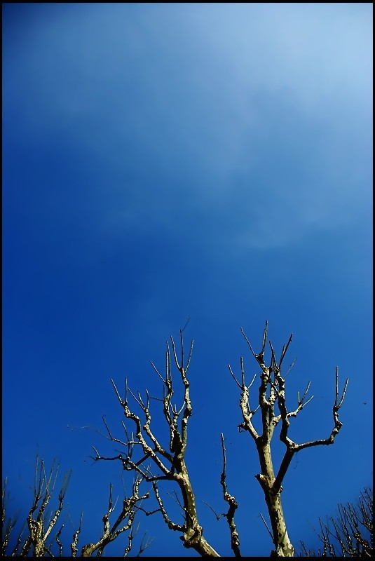 La rigueur du froid d-une nouvelle blessure