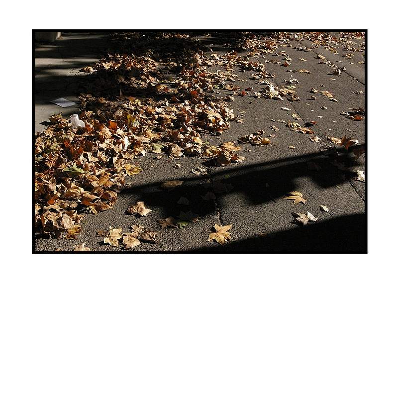 Din asfalt curg tarfe