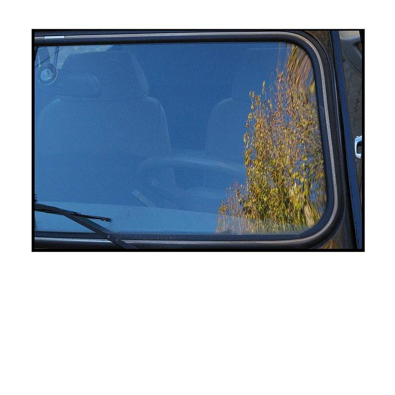 De cet arbre immobile se d-verse le bois