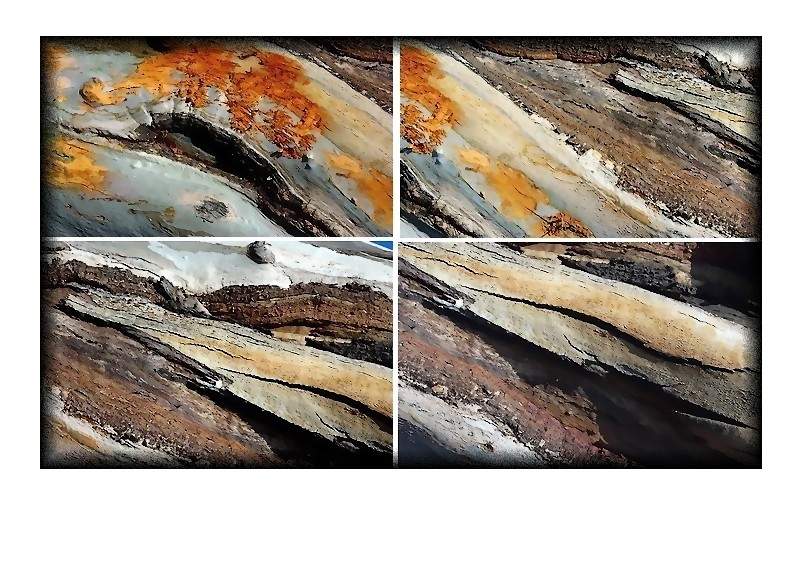 La morsure du changement fait un champ de bataille