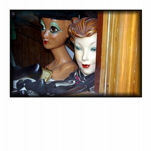 La Poétesse est un corps homobiographique. 2 La Po-tesse est ...