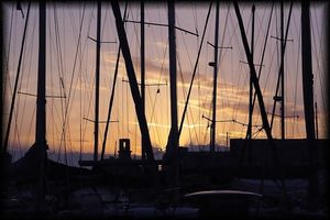 Ce qui monte avec la marée c'est plus encore\que le niveau de la mer la profondeur\des poissons la hauteur des oiseaux\le chant des mâts et notre confiance\à perdre pied Le chant des mâts