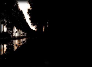 Je vis dans l'intensité de la pénombre Je vis dans l'intensité de la pénombre