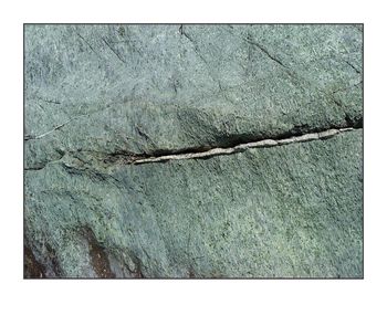 Comment vivre \poétiquement\ sur terre après\ le rejet ? Comment vivre poétiquement 2