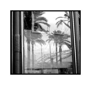 se torno a tue rive Quasimodo 2