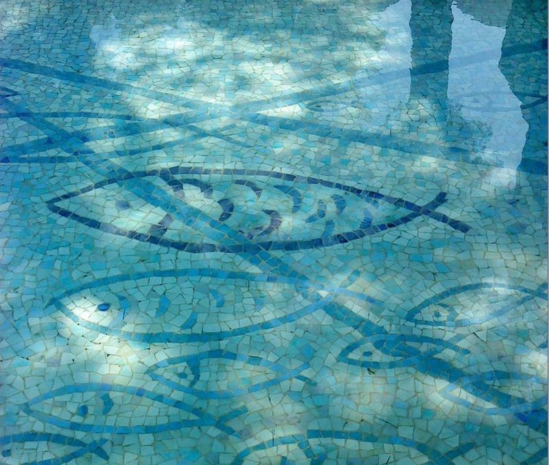 Braque, bassin, maeght