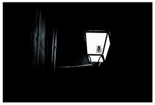 Ces valeurs que je n'ai pas connues 2