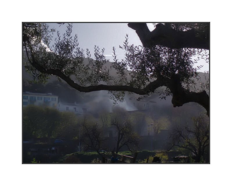 Dérives d'automne 3B