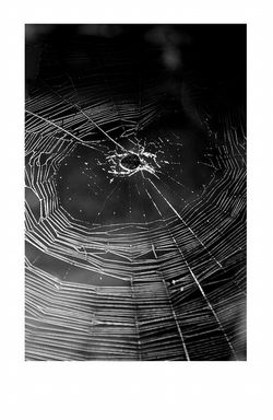 Mon âme est malade. Mon -me est malade.