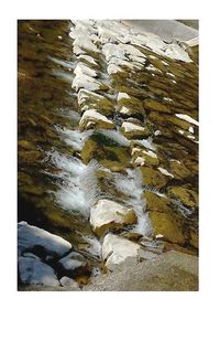 quelque chose qui durait sans être, où tout persévérait, mais différent, du vent, de l'eau, de l'espace toujours plus clair quelque chose qui durait sans être, où tout persévérait, mais différent, du vent, de l'eau, de l'espace toujours plus clair