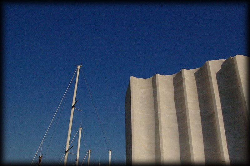 Parmi les pers  et les bleus