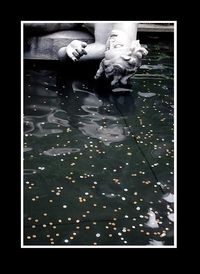 Notre reflet si tendre | Le visage furtif du destin Le visage furtif du destin