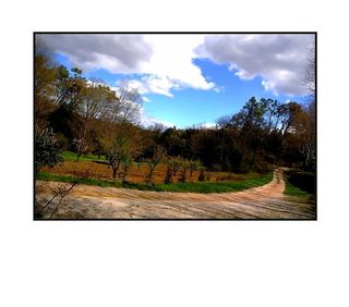 Sans autres ornements que le poli des jours Sans autres ornements que le poli des jours