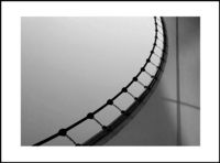 l'ellipse gagne la course du feu 1 l-ellipse