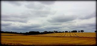 La lumière décomposée de l'orage La lumi-re d-compos-e de l-orage.