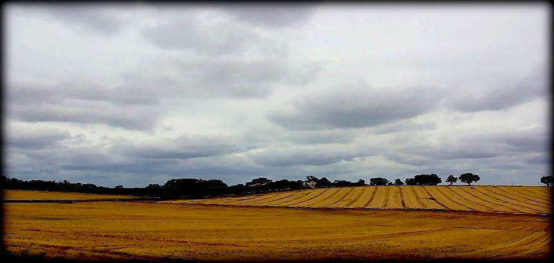 La lumi-re d-compos-e de l-orage.