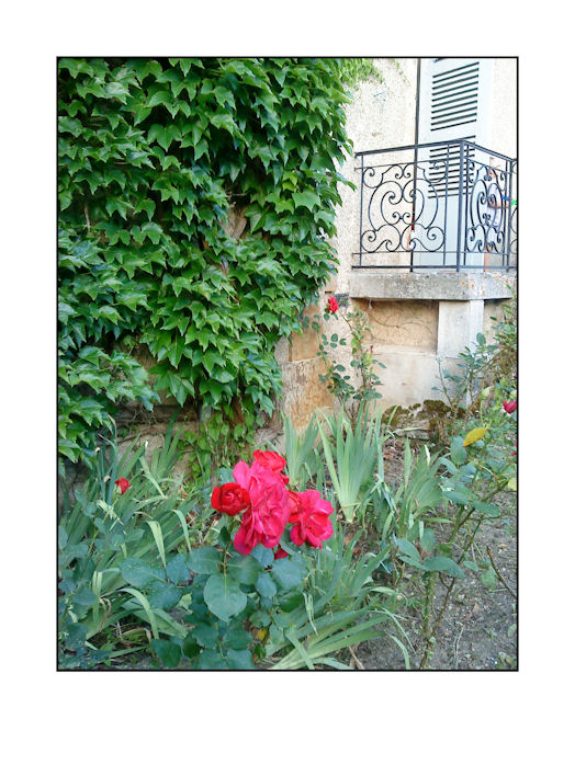 Il y aurait des jardins 3