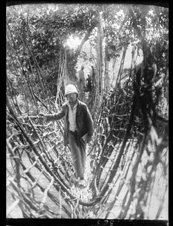André Gide marchant sur un pont de lianes traversant une rivière dans la forêt Gide 2