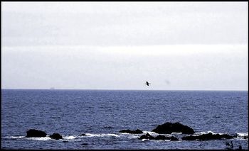 Qui a étendu ses bras au large 2