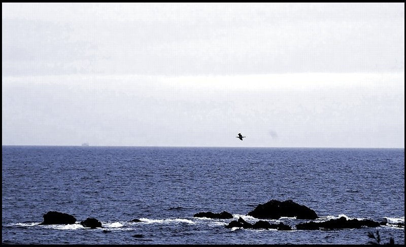 Qui a étendu ses bras au large 2