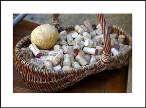 Avec saint Vincent, saint Martin est un des patrons des vignerons mais aussi de l’abondance. POUR LA SAINT MARTIN