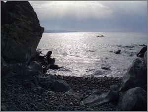 Albu novembre 2010 5