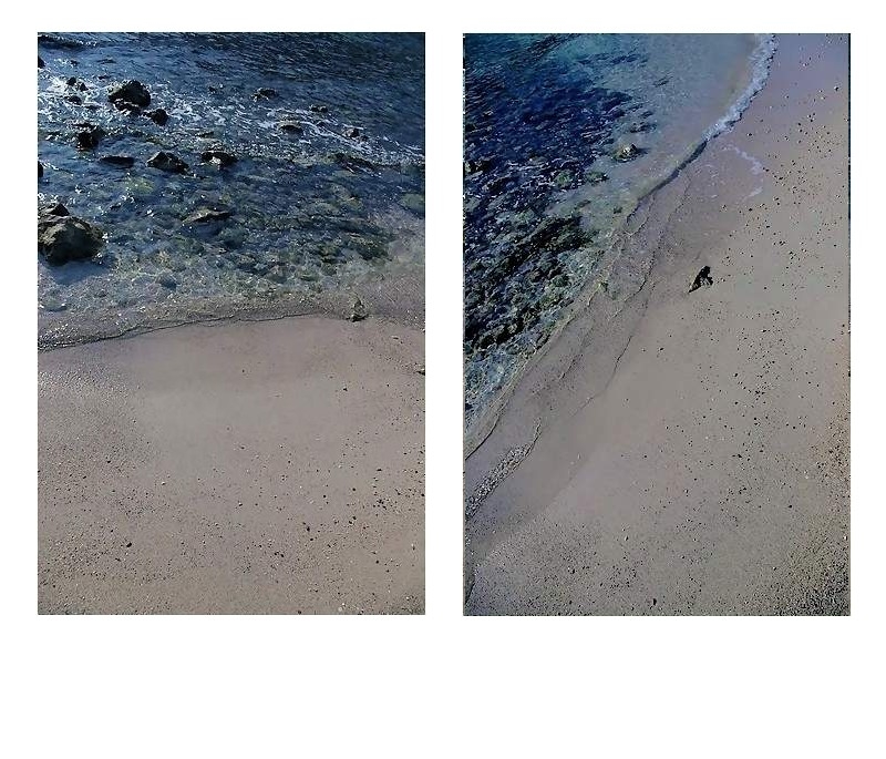 POUR PERSE SUR FOND PLUS BLANC