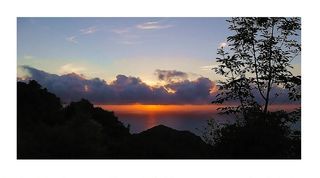 La palme dans le ciel s'émerveille | Canari, Cap Corse, août 2006. Bufalino