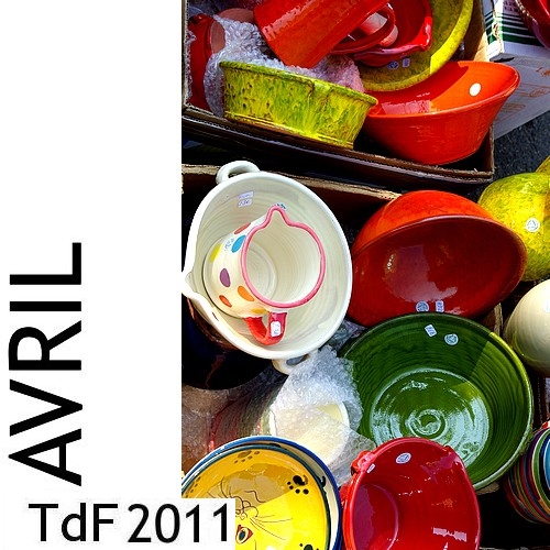 LOGO TDF AVRIL 2011
