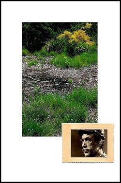 Herbe grasse dans mes tiroirs | douceur sans profondeur comme du velours | ou comme un serment piétiné | et je vois qui se délasse et se prélasse | ta photo. Comme un serment pi-tin-