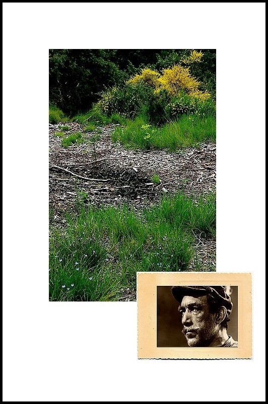 Comme un serment pi-tin-