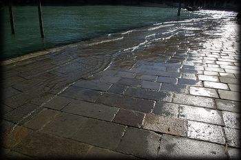 stop look & | Listen Venezia Listen Venezia
