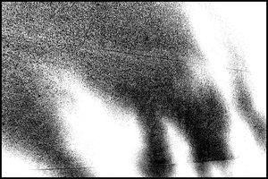 BALLADE DU SILENCE CRAINTIF