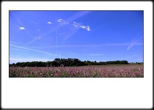 Vers la bien-aimée VERS LA BIEN-AIM-E