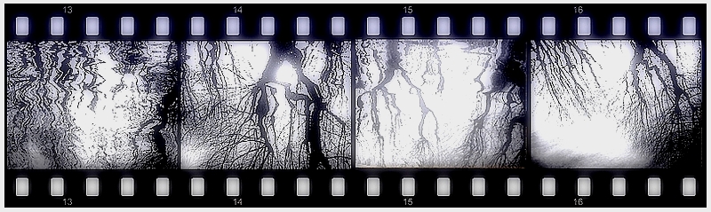 Le paysage lacustre s-anime comme une toile o- alternent carr-s de lumi-re et frondaisons obscures (1)