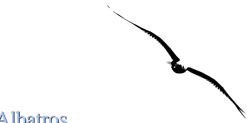 ALBATROS  ... (1)