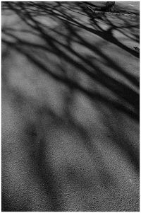 l’insaisissable dessein premier sitôt défiguré méconnaissable, voire infiniment étranger L-insaisissable dessein premier