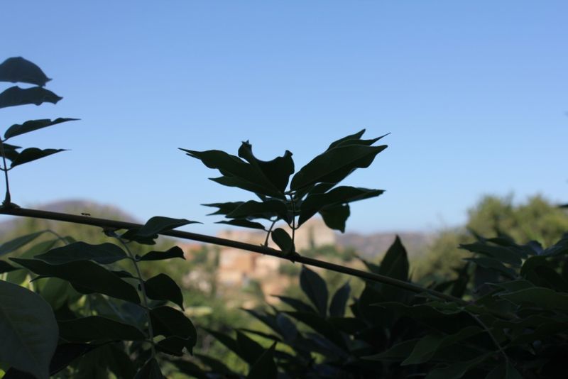 Marteau l'heure est à la musique