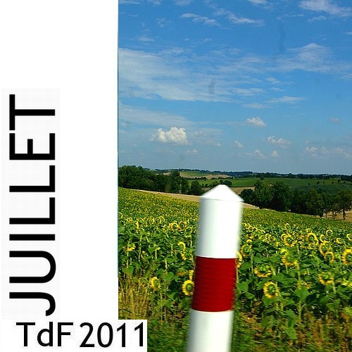 LOGO TDF JUILLET 2011