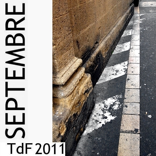 LOGO TDF SEPT 2011 (1)
