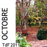 Octobre 2011 Octobre 2011