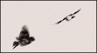 Il passe oiseau éphémère comme la précarité de l'amour Il passe oiseau -ph-m-re comme la pr-carit- de l-amour