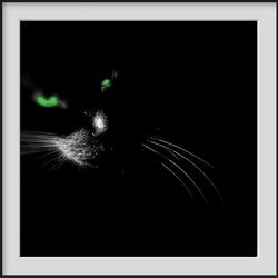 Je vous ai parlé, il y a environ un an, d'épreuves angoissantes. Je vous ai parlé il y a environ un an, d'épreuves angoissantes.