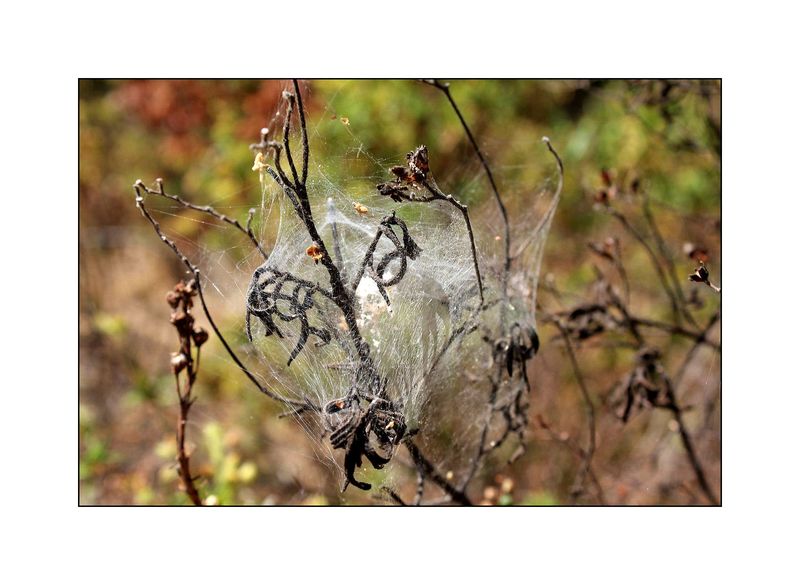 Tournaient les espaces dans les axiomes et les orages