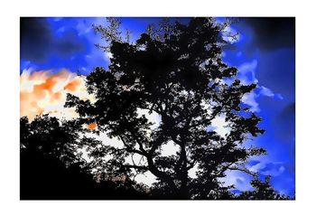 Dans la grammaire d'absinthe s’y relient les nues des premières transparences