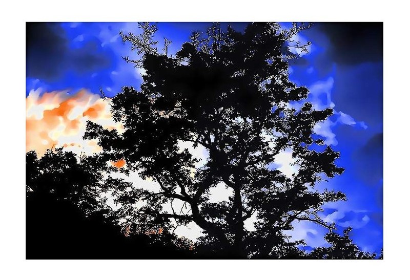 Dans la grammaire d'absinthe s’y relient les nues des premières transparences